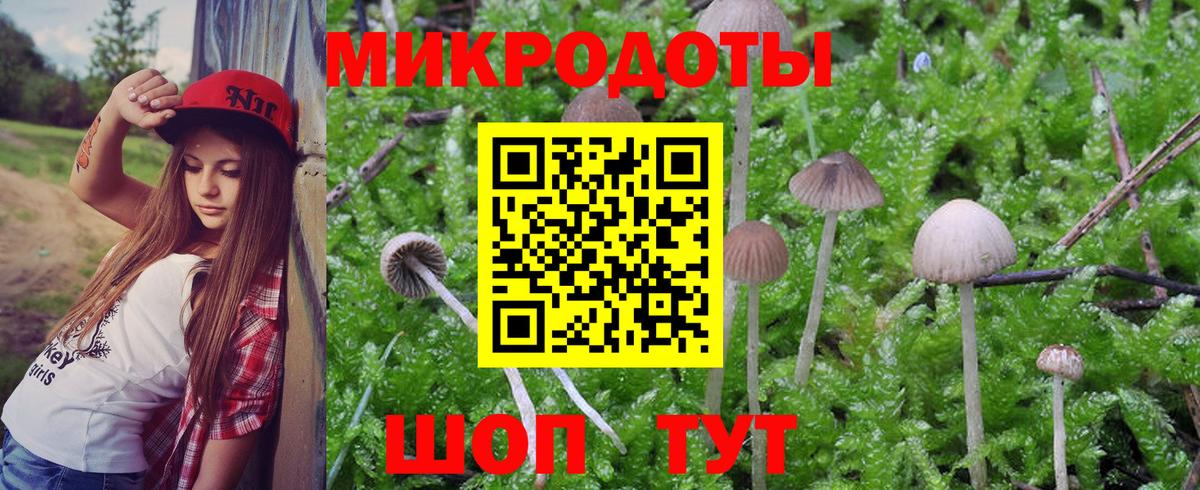 Аксай  Галлюциногенные грибы мухоморы  Вход с VPN  как найти закладки  Псилоцибиновые грибы GOLDEN TEACHER 