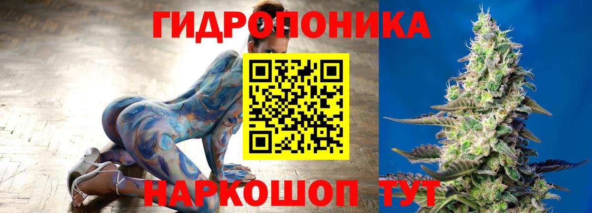 Каннабис семена  Вход с VPN  Аксай  МАРИХУАНА семена  Марихуана AK-47  Марихуана планчик 